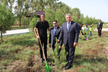 27 Sentyabr - Anım Gününə həsr edilmiş ağacəkmə aksiyası keçirilmişdir. 27.09.2026