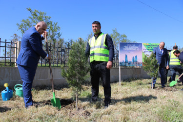 Laçınlılar “Şəhərsalma və Memarlıq ili” ilə əlaqədar ağacəkmə aksiyası keçirmişlər. 15.04.2026