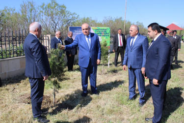 Laçınlılar “Şəhərsalma və Memarlıq ili” ilə əlaqədar ağacəkmə aksiyası keçirmişlər. 15.04.2026