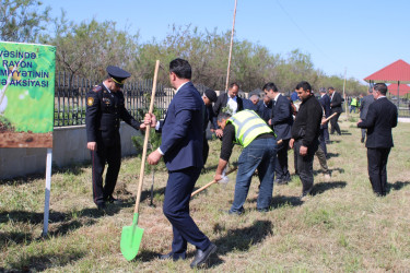 Laçınlılar “Şəhərsalma və Memarlıq ili” ilə əlaqədar ağacəkmə aksiyası keçirmişlər. 15.04.2026