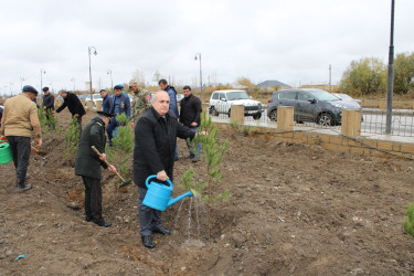 1 dekabr - Laçın rayonunun işğaldan azad olunması günüdür.