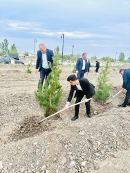 Laçınlı səhiyyə işçiləri ağacəkmə  aksiyası keçirmişlər