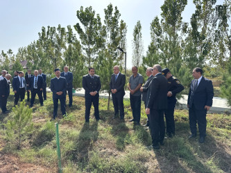 27 Sentyabr - Anım Gününə həsr edilmiş ağacəkmə aksiyası keçirilmişdir. 27.09.2026