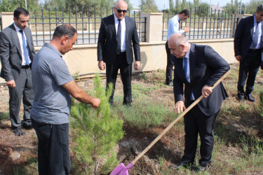27 Sentyabr - Anım Gününə həsr edilmiş ağacəkmə aksiyası keçirilmişdir. 27.09.2026