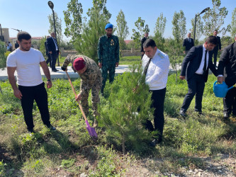 27 Sentyabr Anım Günündə müqəddəs şəhidlərimizin əziz xatirəsi ehtiramla yad edilmişdir.