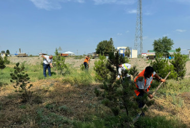 15 İyun - Milli Qurtuluş Günüdür