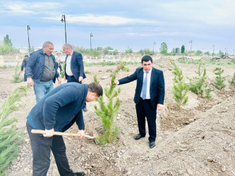 Laçınlı səhiyyə işçiləri ağacəkmə  aksiyası keçirmişlər