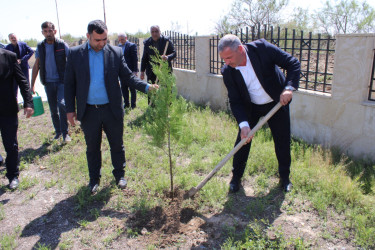 Laçınlı məcburi köçkünlər “Konstitusiya və Suverenlik İli”nə həsr olunmuş ağacəkmə aksiyasında fəal iştirak etmişlər.