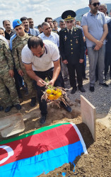 Şəhid Quliyev Camal Möhübbət oğlunun nəşi 31 ildən sonra Laçın şəhərində torpağa tapşırılmışdır.