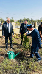 27 Sentyabr - Anım Gününə həsr edilmiş ağacəkmə aksiyası keçirilmişdir. 27.09.2026