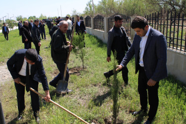 Laçınlı məcburi köçkünlər “Konstitusiya və Suverenlik İli”nə həsr olunmuş ağacəkmə aksiyasında fəal iştirak etmişlər.
