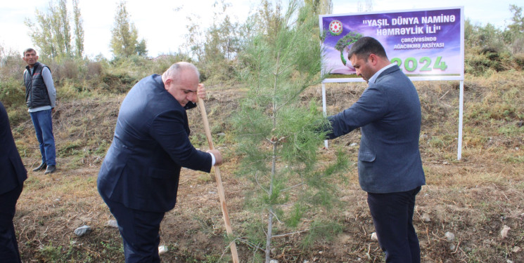 Laçınlılar “Yaşıl dünya üçün həmrəy olaq!” şüarı altında keçirilən  ağacəkmə aksiyasında fəal iştirak edirlər.