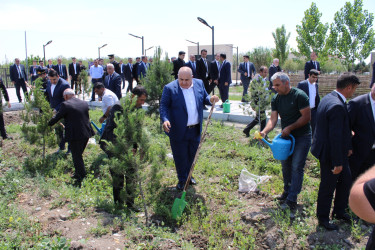 Laçınlılar xalqımızın Ümummilli lideri Heydər Əliyevin anadan  olmasının 102-ci ildönümü ilə bağlı ağacəkmə aksiyasına qoşulublar