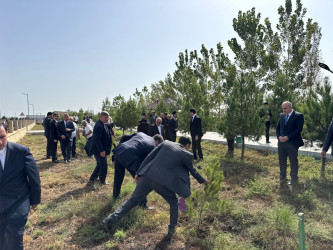 27 Sentyabr - Anım Gününə həsr edilmiş ağacəkmə aksiyası keçirilmişdir. 27.09.2026