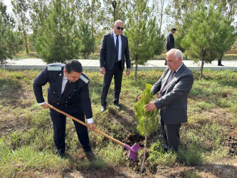 27 Sentyabr - Anım Gününə həsr edilmiş ağacəkmə aksiyası keçirilmişdir. 27.09.2026